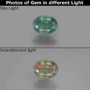 Alexandrite multicolore naturelle coupe ovale, 0,44 ct, VS