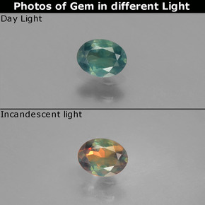 Alexandrite multicolore naturelle coupe ovale, 0,31 ct, VS