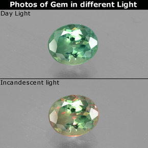 Alexandrite multicolore naturelle coupe ovale, 0,70 ct, VS