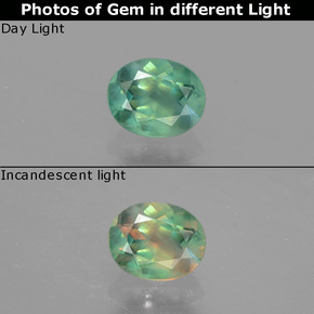 Alexandrite multicolore naturelle coupe ovale, 0,45 ct, VS