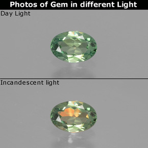 Alexandrite multicolore naturelle coupe ovale, 0,48 ct, VS