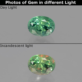 Alexandrite multicolore naturelle coupe ovale, 0,94 ct, VS
