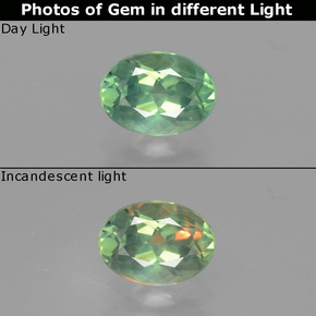 Alexandrite multicolore naturelle coupe ovale, 0,98 ct, VS
