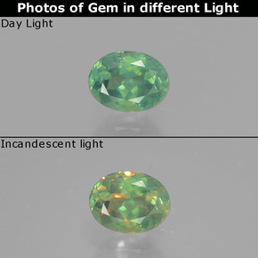 Alexandrite Vert rouge naturelle Coupe ovale, 0.51 ct, VS