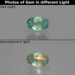 Alexandrite multicolore naturelle coupe ovale, 0,27 ct, VS