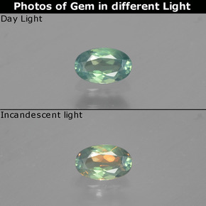 Alexandrite multicolore naturelle coupe ovale, 0,26 ct, VS