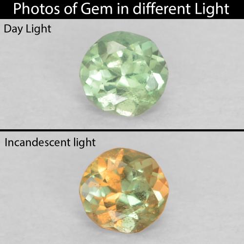 Alexandrite vert naturelle coupe roude, 0,06 ct, VS