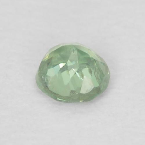 Alexandrite vert naturelle coupe roude, 0,06 ct, VS