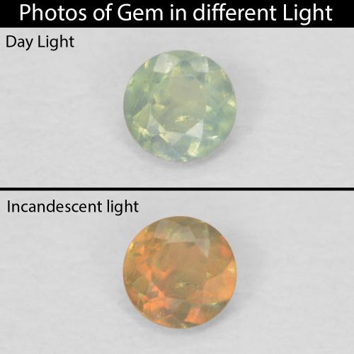 Alexandrite vert naturelle coupe roude, 0,08 ct, VS