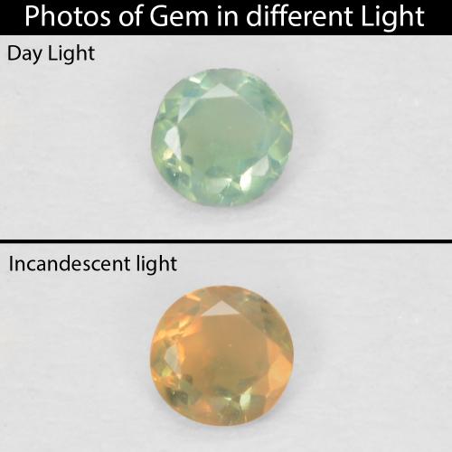 Alexandrite vert naturelle coupe roude, 0,06 ct, VVS-VS