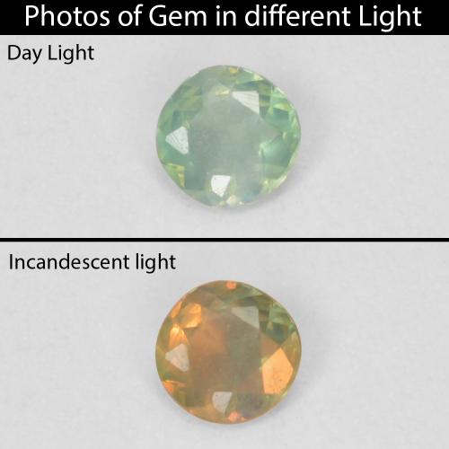 Alexandrite vert naturelle coupe roude, 0,06 ct, VVS-VS