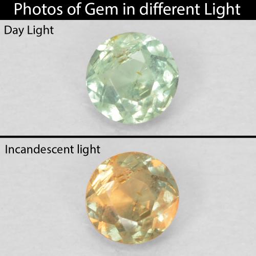 Alexandrite vert naturelle coupe roude, 0,09 ct, VVS-VS