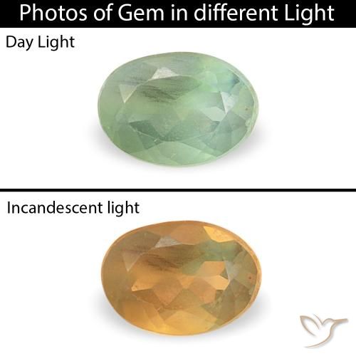 0.12ct Naturel Vert sauge Alexandrite, ovale, VVS-VS