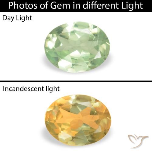 0.17ct Naturel Vert jaunâtre Alexandrite, ovale, VS