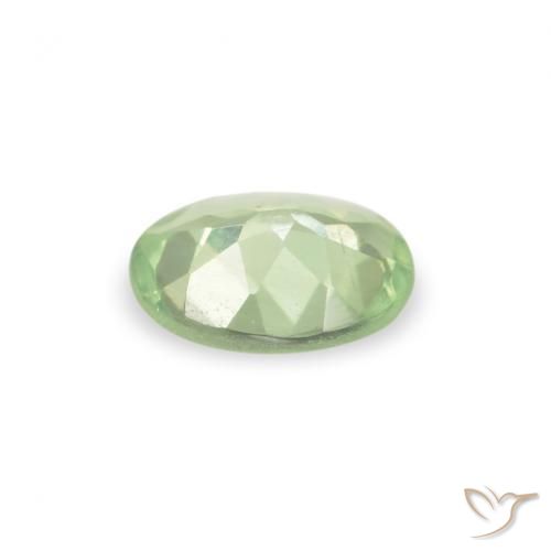 Alexandrite Vert jaunâtre naturelle ovale, 0.17 ct, VS