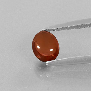 Grenat almandin rouge naturelle transparent, 0,76 ct, transparent / translucide