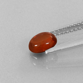 Grenat almandin rouge naturelle transparent, 0,76 ct, transparent / translucide