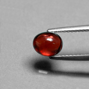 Grenat Almandin Rouge-orange naturelle Coupe ovale, 1.51 ct, Translucide