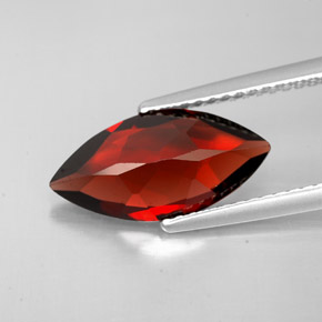 Grenat Almandin Rouge foncé naturelle Marquise, 2.78 ct, VS