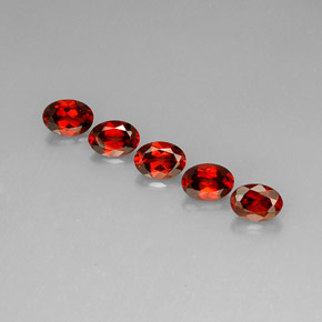Achetez naturel ct Rouge Grenat Almandin gems, Coupe ovale, En provenance Madagascar chez GemSelect. En stock, livraison internationale!