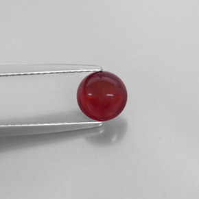Grenat Almandin Rouge naturelle Transparent, 1.44 ct, Transparent / Translucide