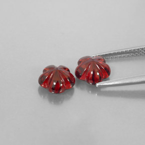 Achetez naturel ct rouge grenat almandin gems, transparent, en provenance madagascar chez gemselect. en stock, livraison internationale!