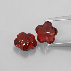 Achetez naturel ct rouge grenat almandin gems, transparent, en provenance madagascar chez gemselect. en stock, livraison internationale!