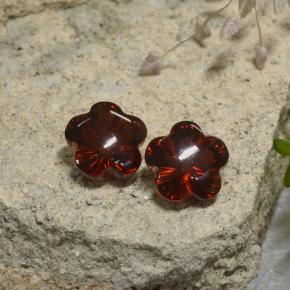 Achetez naturel ct rouge grenat almandin gems, taille fleur, en provenance madagascar chez gemselect. en stock, livraison internationale!