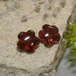 Achetez naturel 3,47ct rouge grenat almandin gems, taille fleur, en provenance madagascar chez gemselect. en stock, livraison internationale!