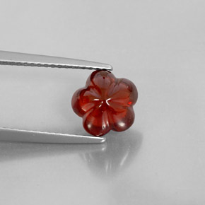 Grenat almandin rouge naturelle transparent, 3,15 ct, transparent / translucide
