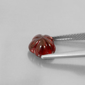 Grenat almandin rouge naturelle transparent, 3,15 ct, transparent / translucide