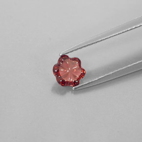 Grenat Almandin Rouge foncé naturelle Transparent, 0.61 ct, Transparent / Translucide