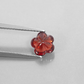 Grenat Almandin Rouge foncé naturelle Transparent, 1.73 ct, Transparent / Translucide