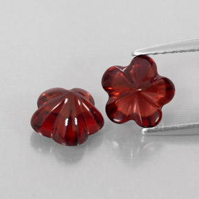 Achetez naturel ct rouge grenat almandin gems, transparent, en provenance madagascar chez gemselect. en stock, livraison internationale!