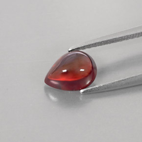 Grenat Almandin Rouge foncé naturelle Transparent, 1.46 ct, Transparent / Translucide