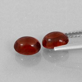 Achetez naturel ct rouge grenat almandin gems, transparent, en provenance inde chez gemselect. en stock, livraison internationale!