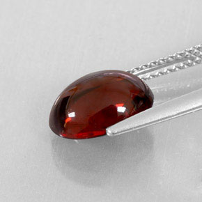 Grenat almandin rouge naturelle transparent, 3,38 ct, transparent / translucide