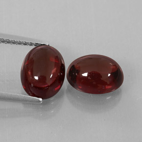 Achetez naturel ct rouge grenat almandin gems, transparent, en provenance madagascar chez gemselect. en stock, livraison internationale!