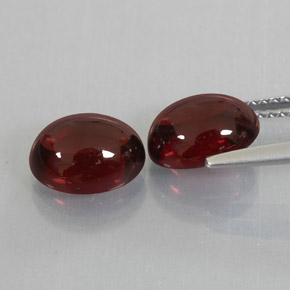 Achetez naturel ct rouge grenat almandin gems, transparent, en provenance madagascar chez gemselect. en stock, livraison internationale!