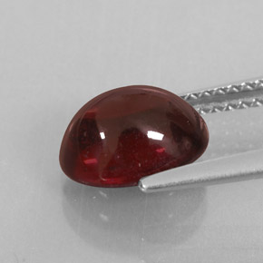 Grenat almandin rouge naturelle transparent, 2,94 ct, transparent / translucide