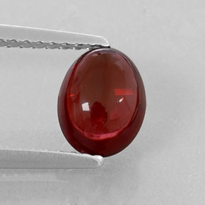 Grenat Almandin Rouge foncé naturelle Transparent, 1.70 ct, Transparent / Translucide