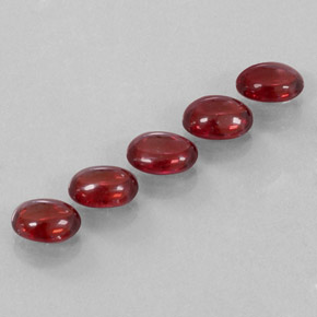 Achetez naturel ct rouge grenat almandin gems, transparent, en provenance madagascar chez gemselect. en stock, livraison internationale!