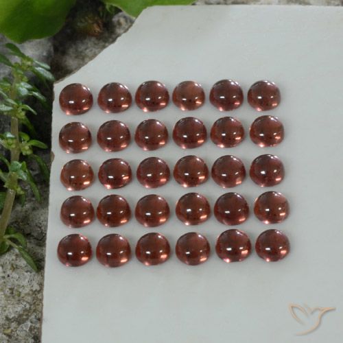 5.69ctw Naturel Rouge foncé Grenat Almandin, Tour, Transparent