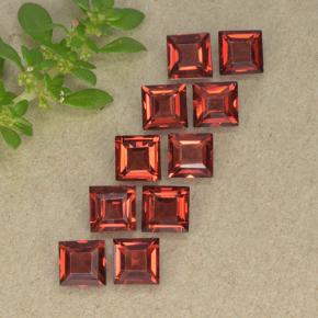 Achetez naturel 4.03ct Rouge écarlate Grenat Almandin gems, Carré, En provenance Madagascar chez GemSelect. En stock, livraison internationale!