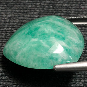 Amazonite Vert naturelle Trillion, 16.50 ct, Opaque