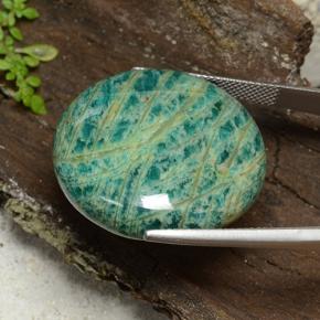 Amazonite vert naturelle coupe roude, 53,05 ct, opaque