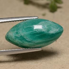 Amazonite vert frais naturelle marquise, 7,04 ct, opaque