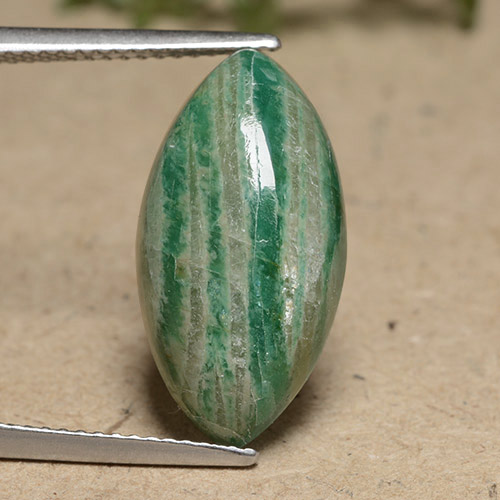 Amazonite vert naturelle marquise, 8,09 ct, opaque