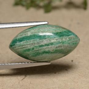 Amazonite vert naturelle marquise, 8,09 ct, opaque