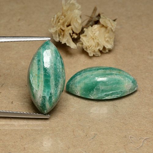 19.10ctw Naturel Vert frais Amazonite, Marquise, Opaque